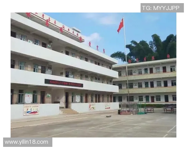 龙川铁场足球比赛精彩直播回放全程回顾与精彩瞬间分析